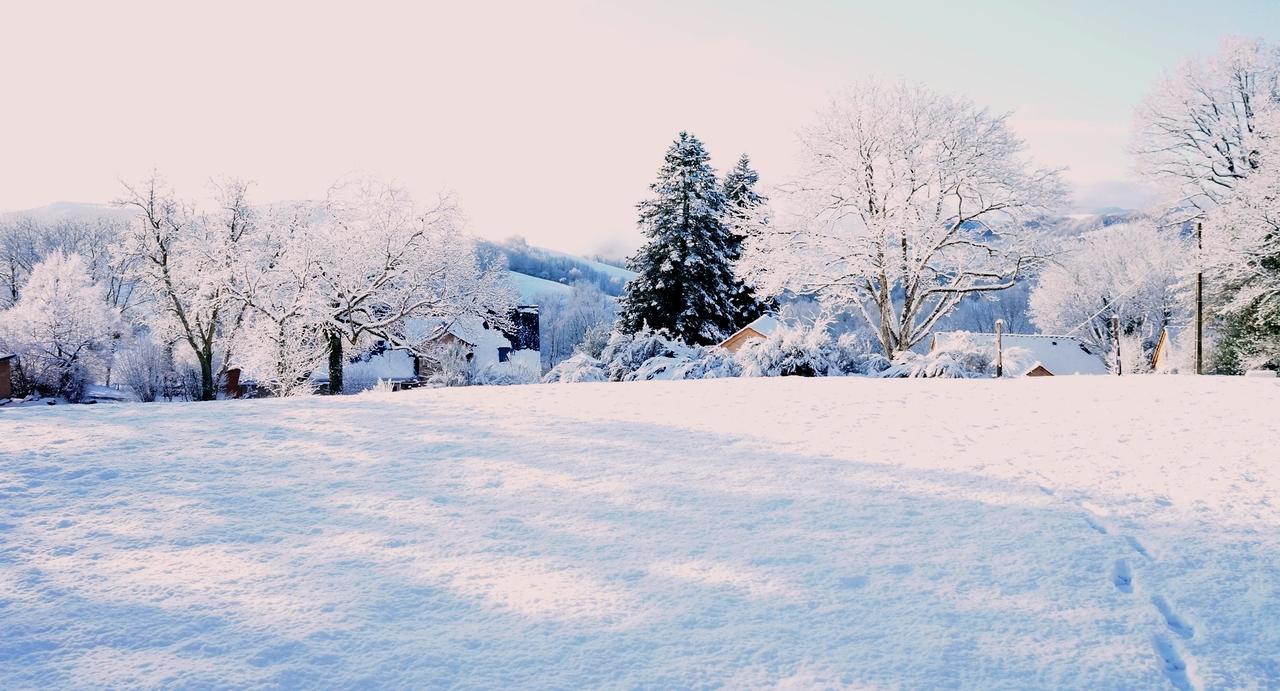 Domaine Des Marequiers Chambre Silene Saint-Germain-du-Teil Kültér fotó