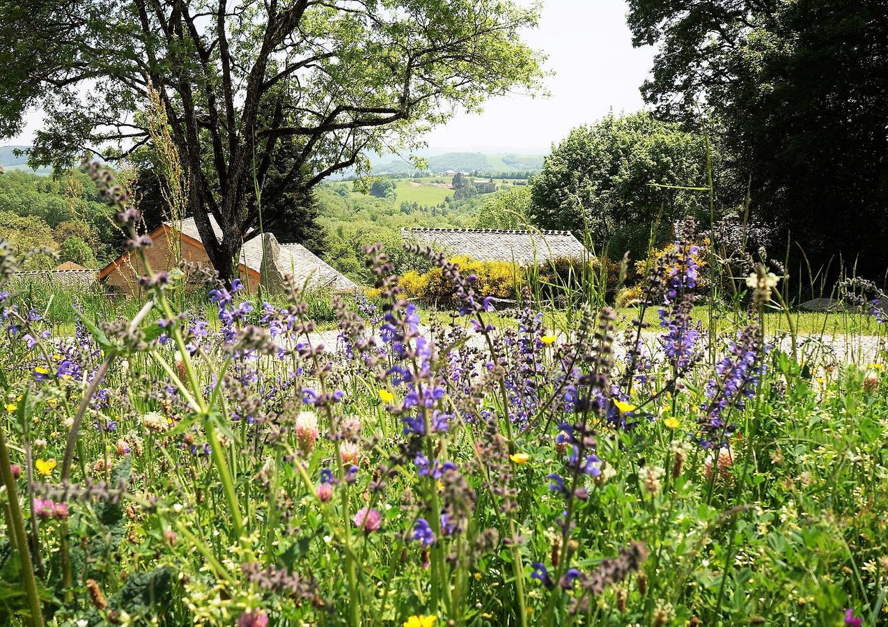 Domaine Des Marequiers Chambre Silene Saint-Germain-du-Teil Kültér fotó